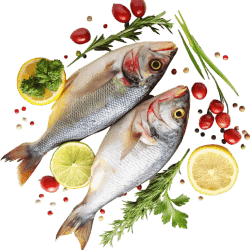 100 هزار تومان برای اولین سفارش